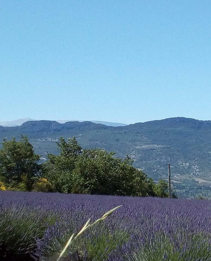 Gite La Fleur D Olivier Nyons Dış mekan fotoğraf
